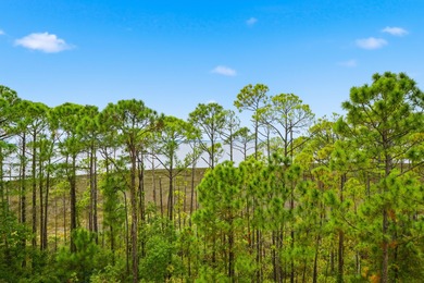 Wake up to tranquil Choctawhatchee Bay views as you're less than on Sandestin Golf and Beach Resort - Raven in Florida - for sale on GolfHomes.com, golf home, golf lot