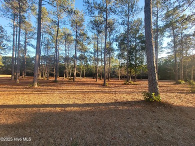 Beautiful .25/acre pond-front home site on a cul de sac in the on Ocean Ridge Plantation in North Carolina - for sale on GolfHomes.com, golf home, golf lot