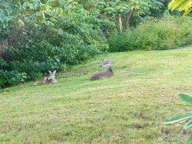 Come make this Highland Lakes home your own. New Year - New on Highland Lakes Executive Golf Course in Florida - for sale on GolfHomes.com, golf home, golf lot