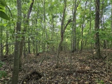 Welcome to your future homesite--nestled in the heart of on The Trail At Chickasaw Pointe in South Carolina - for sale on GolfHomes.com, golf home, golf lot