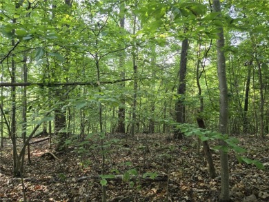 Welcome to your future homesite--nestled in the heart of on The Trail At Chickasaw Pointe in South Carolina - for sale on GolfHomes.com, golf home, golf lot
