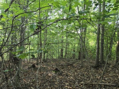 Welcome to your future homesite--nestled in the heart of on The Trail At Chickasaw Pointe in South Carolina - for sale on GolfHomes.com, golf home, golf lot