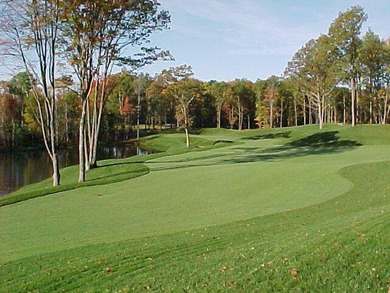 Welcome to the 18th hole of the Royal golf course. Enjoy a on Canadian Lakes Country Club-The Royal Course in Michigan - for sale on GolfHomes.com, golf home, golf lot