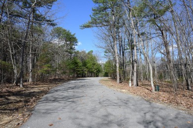 A beautiful large wooded building lot in McLemore for your home on McLemore Golf Club in Georgia - for sale on GolfHomes.com, golf home, golf lot