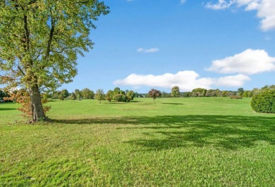 Discover the beauty of this stunning 8.19-acre building lot on Pleasant Valley Golf Course in Ohio - for sale on GolfHomes.com, golf home, golf lot