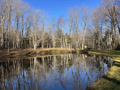Log Home Lovers, this is your chance to have a circa 2003 log on Hermitage Club Golf Course in Vermont - for sale on GolfHomes.com, golf home, golf lot