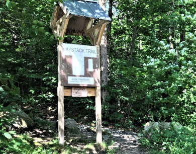 Log Home Lovers, this is your chance to have a circa 2003 log on Hermitage Club Golf Course in Vermont - for sale on GolfHomes.com, golf home, golf lot