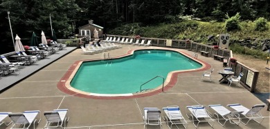 Log Home Lovers, this is your chance to have a circa 2003 log on Hermitage Club Golf Course in Vermont - for sale on GolfHomes.com, golf home, golf lot