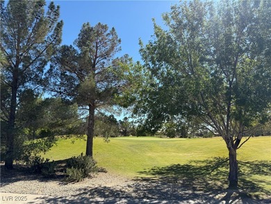 Enjoy your morning coffee from this beautiful courtyard on the on Aliante Golf Club in Nevada - for sale on GolfHomes.com, golf home, golf lot