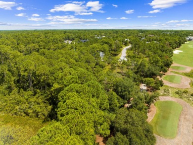 Inside the private, gated Wild Heron community, this stunning 0 on Sharks Tooth Golf Club in Florida - for sale on GolfHomes.com, golf home, golf lot