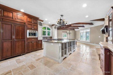 Stunning custom French Country-Style home with an INGROUND POOL on RedTail Golf Club in Illinois - for sale on GolfHomes.com, golf home, golf lot