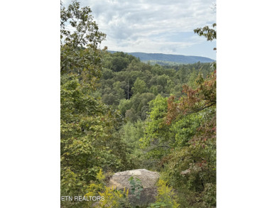 This fully furnished 2-bedroom, 2-bath condo is a great on Druid Hills Golf Club in Tennessee - for sale on GolfHomes.com, golf home, golf lot