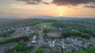The Wellington with D elevation has turned out to be a top on The Fairways at Laurel Canyon in Georgia - for sale on GolfHomes.com, golf home, golf lot