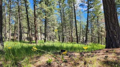 The best drive in town is through a park of ridge top views on Eagle Bend Golf Course in Montana - for sale on GolfHomes.com, golf home, golf lot