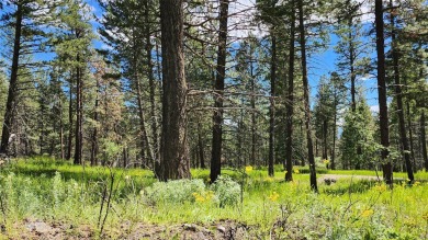 The best drive in town is through a park of ridge top views on Eagle Bend Golf Course in Montana - for sale on GolfHomes.com, golf home, golf lot