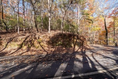 Nestled in the heart of the highly sought-after Mountain on Big Canoe Golf Club - Cherokee in Georgia - for sale on GolfHomes.com, golf home, golf lot