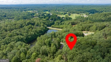 Discover The Orchard - A Premier Golf Course Community. Nestled on The Orchard Golf and Country Club in Georgia - for sale on GolfHomes.com, golf home, golf lot