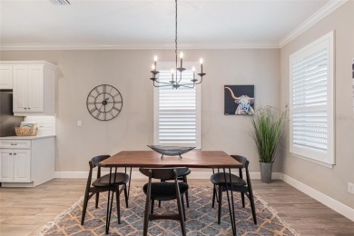 FULLY FURNISHED Affirm model in the resort-style community of on Trilogy at Ocala Preserve in Florida - for sale on GolfHomes.com, golf home, golf lot