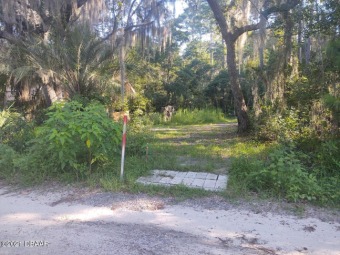 Ready to build. Lot has a power pole ready for meter, septic on The Oaks Golf Club in Florida - for sale on GolfHomes.com, golf home, golf lot