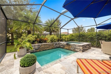 Tropical Paradise Living in Terra Vista! Step into your own on Skyview At Terra Vista Golf and Country Club in Florida - for sale on GolfHomes.com, golf home, golf lot