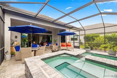 Tropical Paradise Living in Terra Vista! Step into your own on Skyview At Terra Vista Golf and Country Club in Florida - for sale on GolfHomes.com, golf home, golf lot