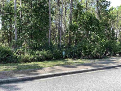 This 0.22-acre lot in the St. James Bay community offers a great on St. James Bay in Florida - for sale on GolfHomes.com, golf home, golf lot