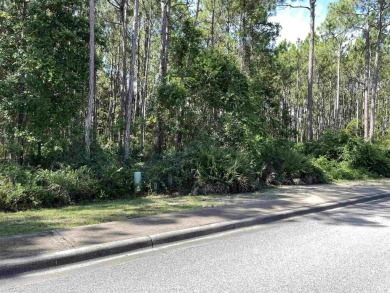 This 0.22-acre lot in the St. James Bay community offers a great on St. James Bay in Florida - for sale on GolfHomes.com, golf home, golf lot