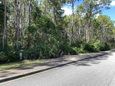 This 0.22-acre lot in the St. James Bay community offers a great on St. James Bay in Florida - for sale on GolfHomes.com, golf home, golf lot