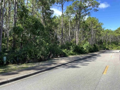 This 0.22-acre lot in the St. James Bay community offers a great on St. James Bay in Florida - for sale on GolfHomes.com, golf home, golf lot