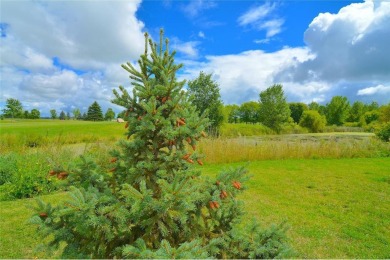 Nestled at the end of a cul-de-sac adjoining a picturesque golf on Stone Creek Golf Course in Minnesota - for sale on GolfHomes.com, golf home, golf lot