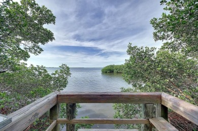 Enjoy stunning lake and golf course views from this lovely on Terra Ceia Golf and Country Club in Florida - for sale on GolfHomes.com, golf home, golf lot