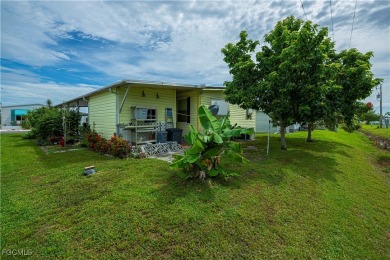 Welcome to affordable Florida living in the highly desirable 55+ on Six Lakes Country Club in Florida - for sale on GolfHomes.com, golf home, golf lot