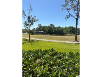 Welcome to Your Turn-Key Paradise: Stunning Golf Course Views on Schalamar Creek Golf and Country Club in Florida - for sale on GolfHomes.com, golf home, golf lot