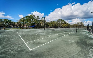 Trying to downsize but don't want to feel cramped? Step into the on East Lake Woodlands Country Club in Florida - for sale on GolfHomes.com, golf home, golf lot