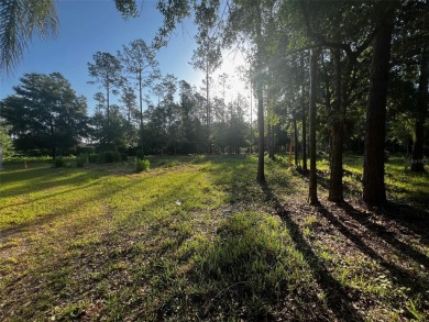 Build your dream home on this exceptional vacant lot nestled at on Lutz Executive Golf Center in Florida - for sale on GolfHomes.com, golf home, golf lot