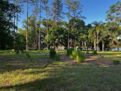 Build your dream home on this exceptional vacant lot nestled at on Lutz Executive Golf Center in Florida - for sale on GolfHomes.com, golf home, golf lot