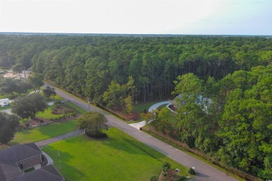 A Rare Opportunity to Own a Slice of Pawleys Island Paradise on True Blue Plantation in South Carolina - for sale on GolfHomes.com, golf home, golf lot