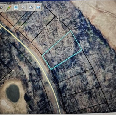Looking for Lake life and golf all in one? This community has it on The Trail At Chickasaw Pointe in South Carolina - for sale on GolfHomes.com, golf home, golf lot