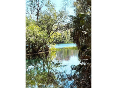 Rainbow Springs community and very close to the most nature on Rainbow Springs Golf and Country Club in Florida - for sale on GolfHomes.com, golf home, golf lot