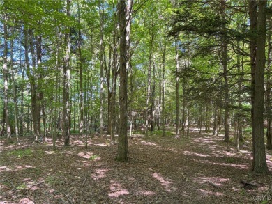Make your mark on the recreational paradise that is Central New on The Pines Golf Course in New York - for sale on GolfHomes.com, golf home, golf lot