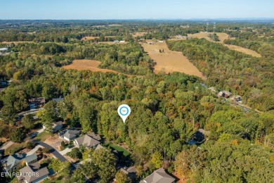 Welcome to Tellico Village, where natural beauty meets modern on Toqua Golf Course - Loudon County in Tennessee - for sale on GolfHomes.com, golf home, golf lot