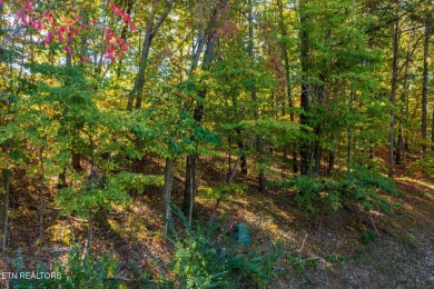 Welcome to Tellico Village, where natural beauty meets modern on Toqua Golf Course - Loudon County in Tennessee - for sale on GolfHomes.com, golf home, golf lot