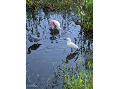 ENJOY PEACEFUL and Tranquil Lake Views in this First Floor 2 on Colonial Country Club in Florida - for sale on GolfHomes.com, golf home, golf lot