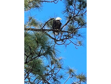 ENJOY PEACEFUL and Tranquil Lake Views in this First Floor 2 on Colonial Country Club in Florida - for sale on GolfHomes.com, golf home, golf lot
