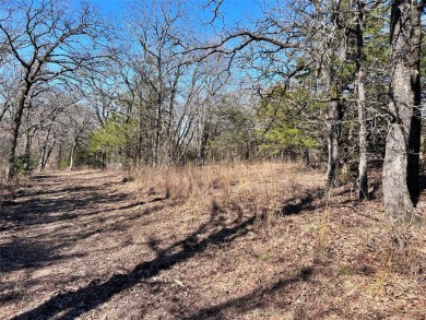 It is rare to find a small, heavily wooded property in the North on Turtle Hill Golf Course in Texas - for sale on GolfHomes.com, golf home, golf lot