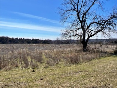 It is rare to find a small, heavily wooded property in the North on Turtle Hill Golf Course in Texas - for sale on GolfHomes.com, golf home, golf lot