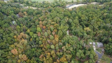 Welcome to the Lost 8! This incredible piece of property is the on Bella Vista Country Club - Kingswood in Arkansas - for sale on GolfHomes.com, golf home, golf lot