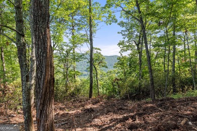 2.5 acre lot in a highly desirable location offering the best on The Orchard Golf and Country Club in Georgia - for sale on GolfHomes.com, golf home, golf lot