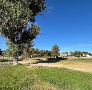 Rare opportunity to own one of the few remaining lots available on Lakeview Executive Golf Course in Nevada - for sale on GolfHomes.com, golf home, golf lot