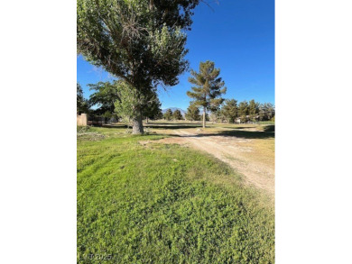 Rare opportunity to own one of the few remaining lots available on Lakeview Executive Golf Course in Nevada - for sale on GolfHomes.com, golf home, golf lot
